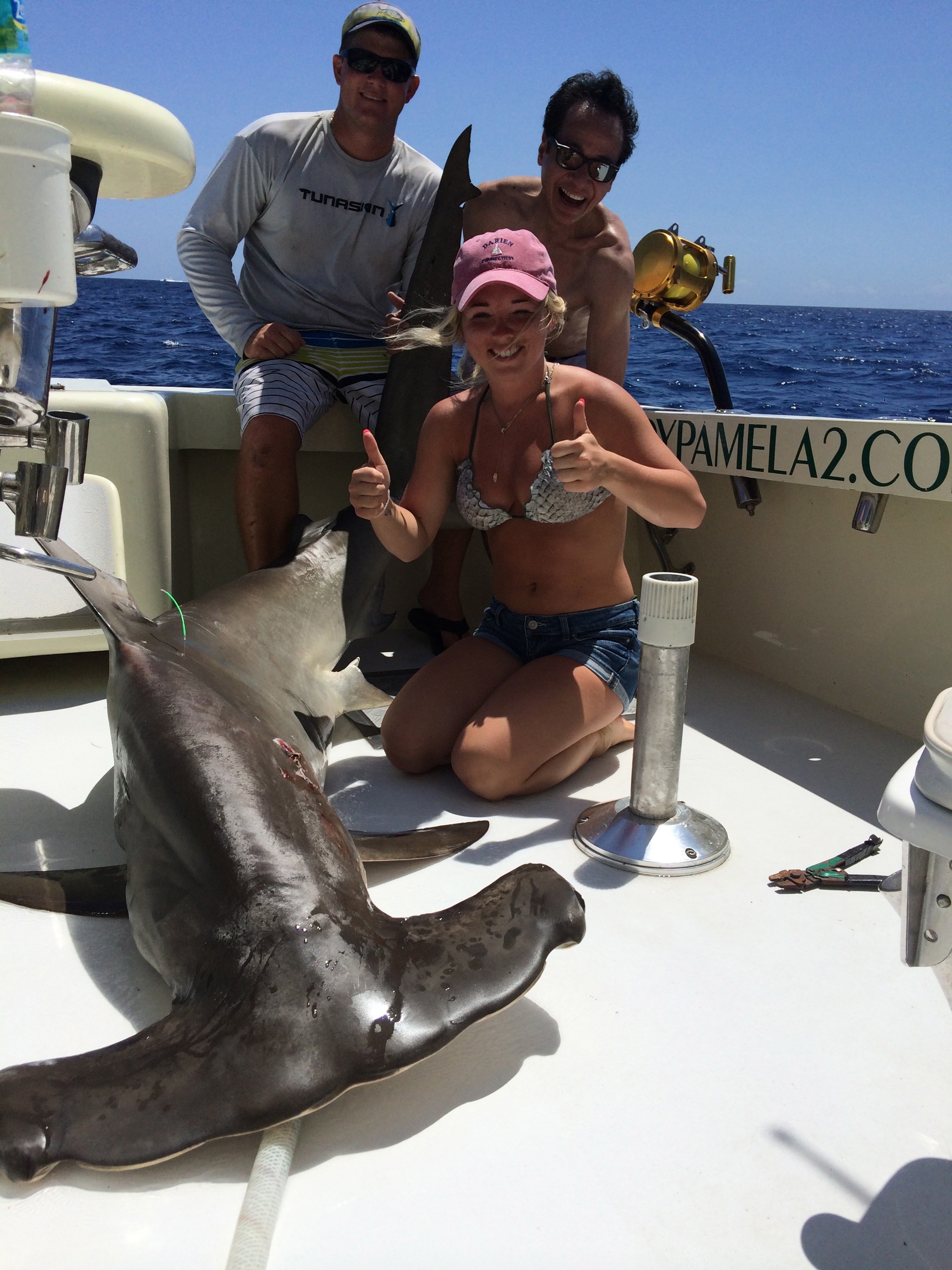 Shark Fishing Charters