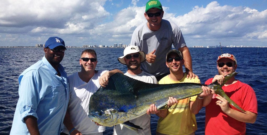 dolphin-fishing-charters