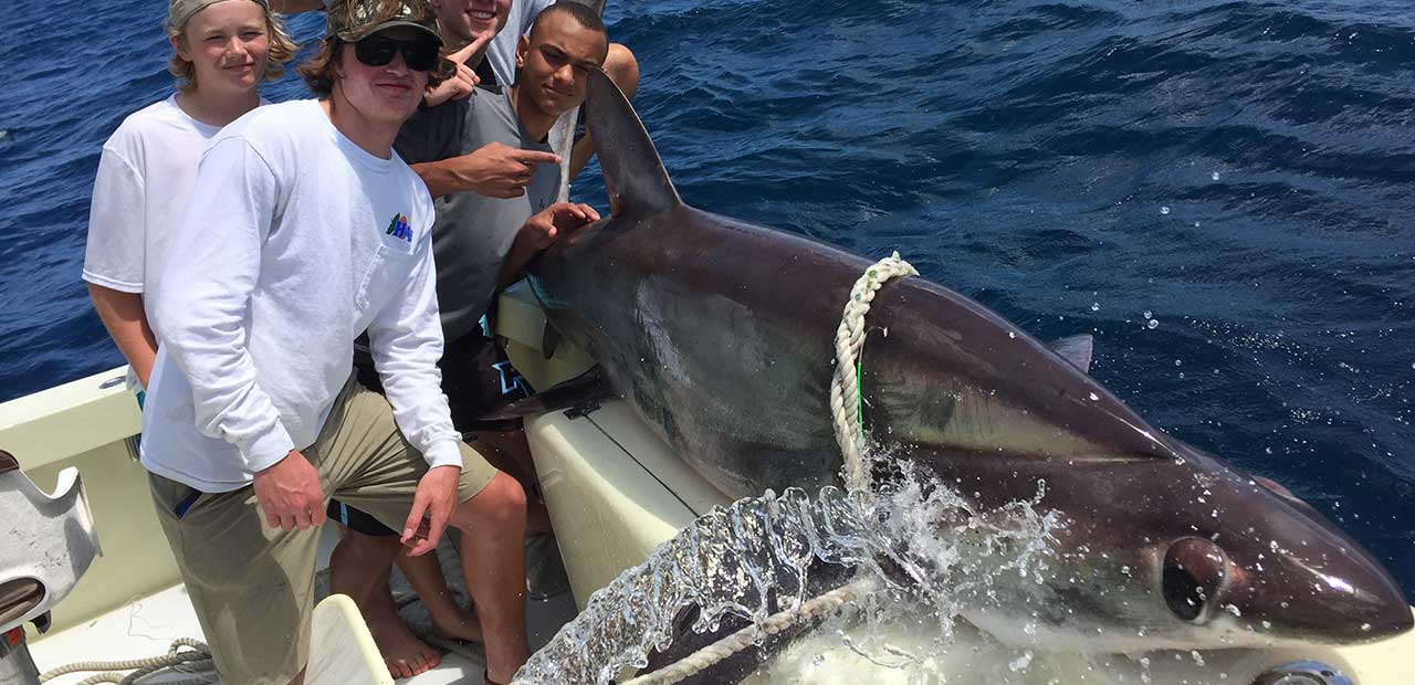 Shark Fishing Charters For Monster Sharks In Fort Lauderdale