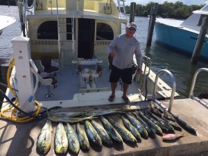 Lots of mahi mahi off 10 miles off fort lauderdale 