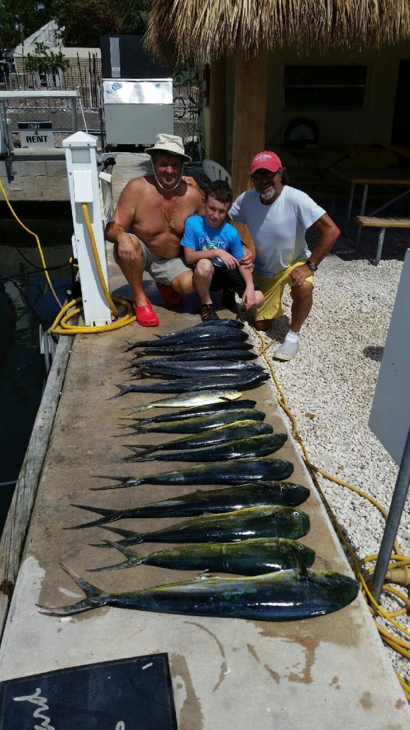 Mahi mahi fishing