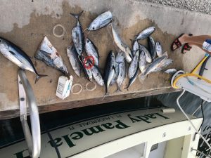 BlackFIn Tunas