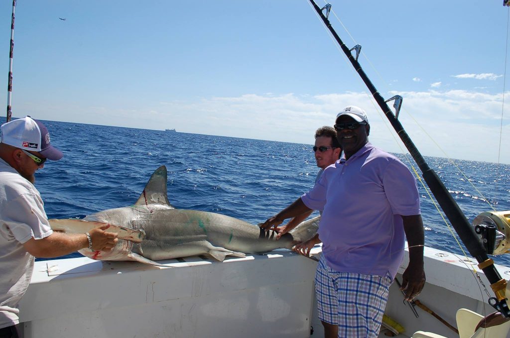 Big shark caught off Hallandale Beach