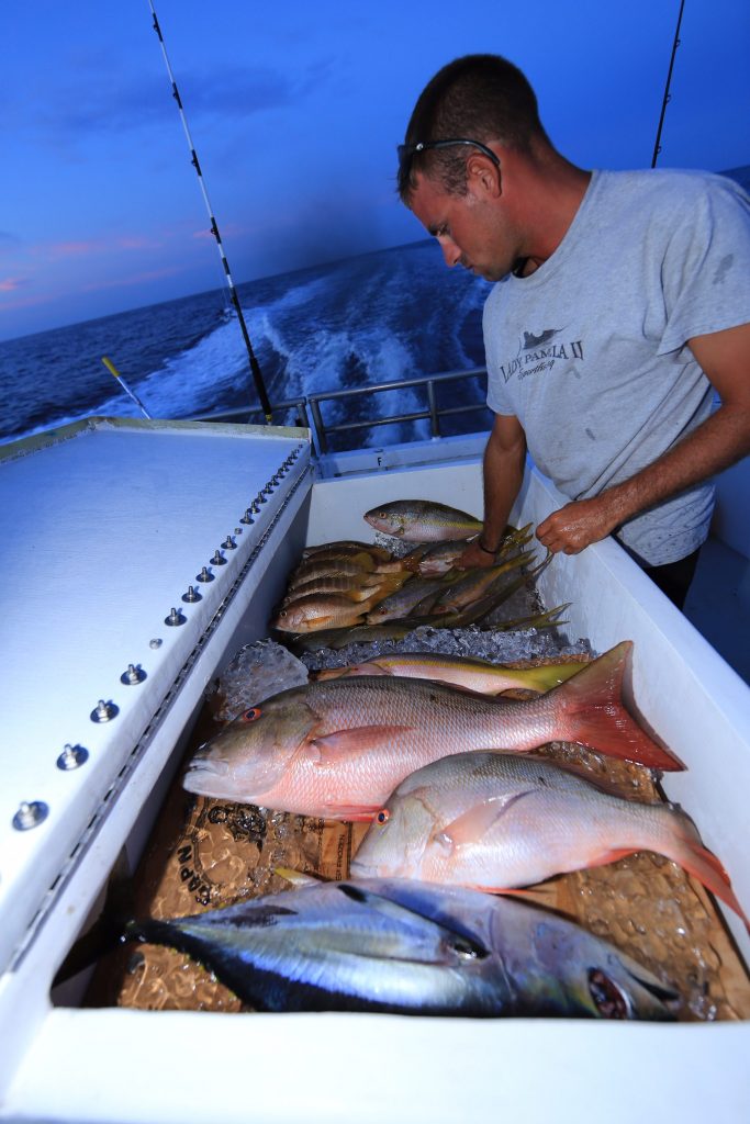 Snapper Fishing