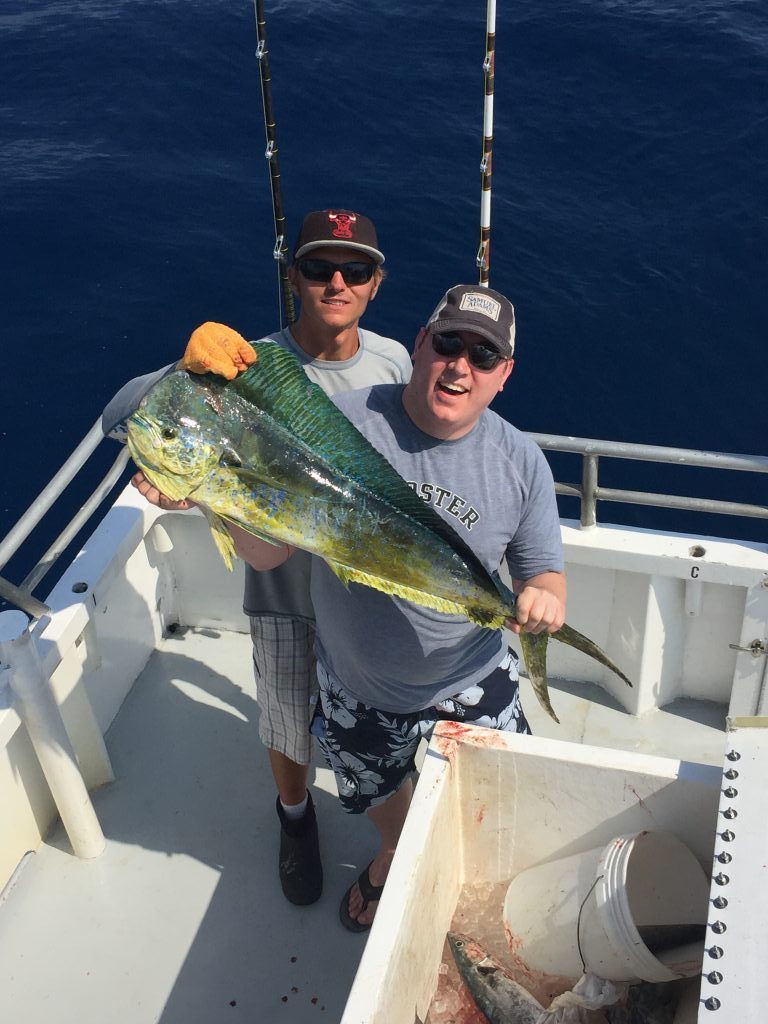 Mahi mahi fish