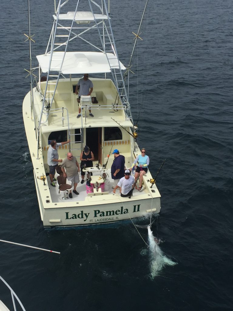 Monster Mako Shark 