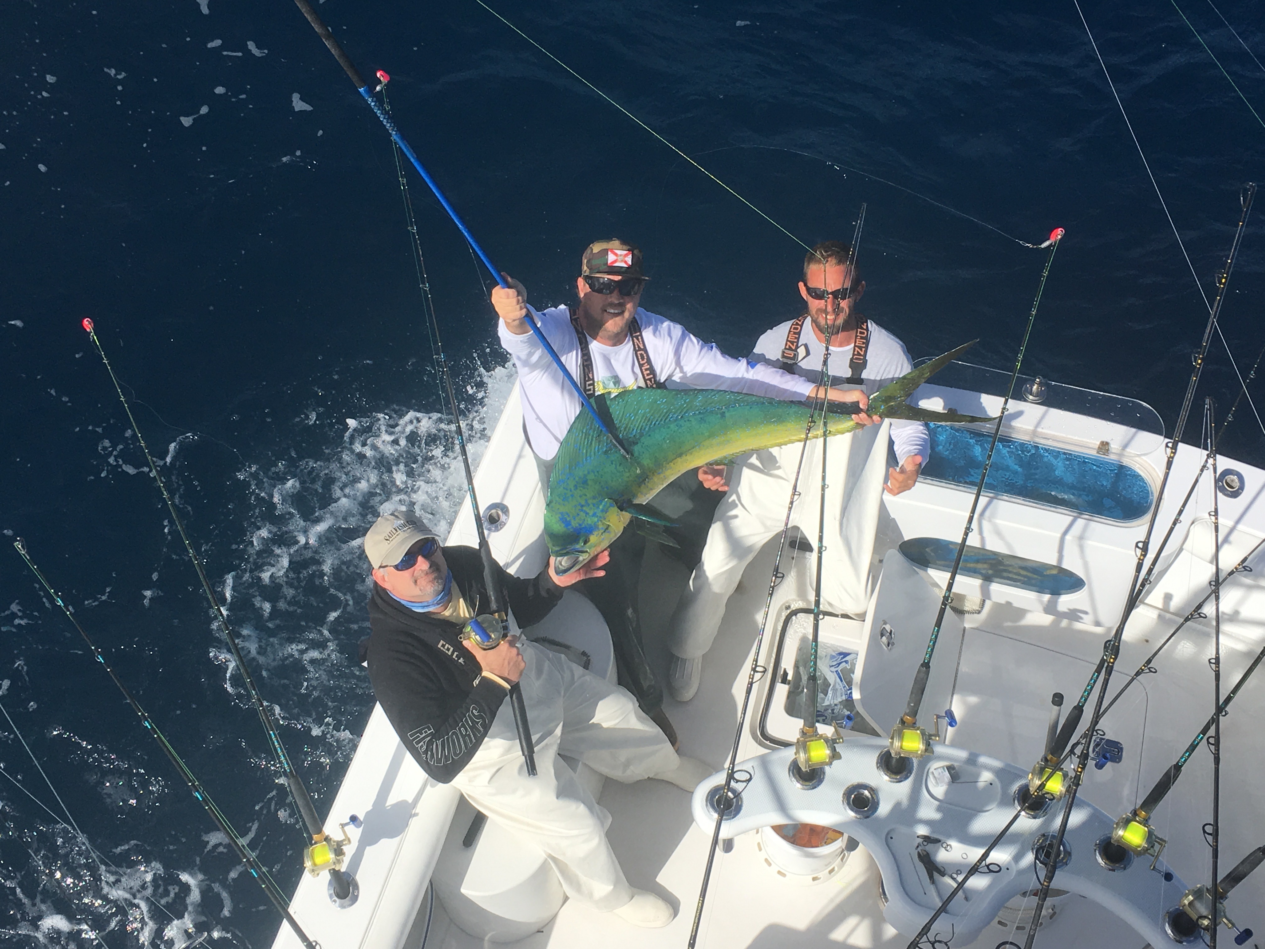 Big mahi