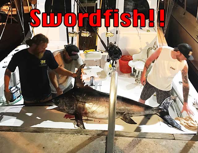 Swordfish