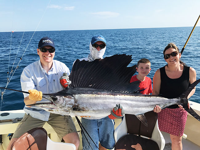 sailfish fishing