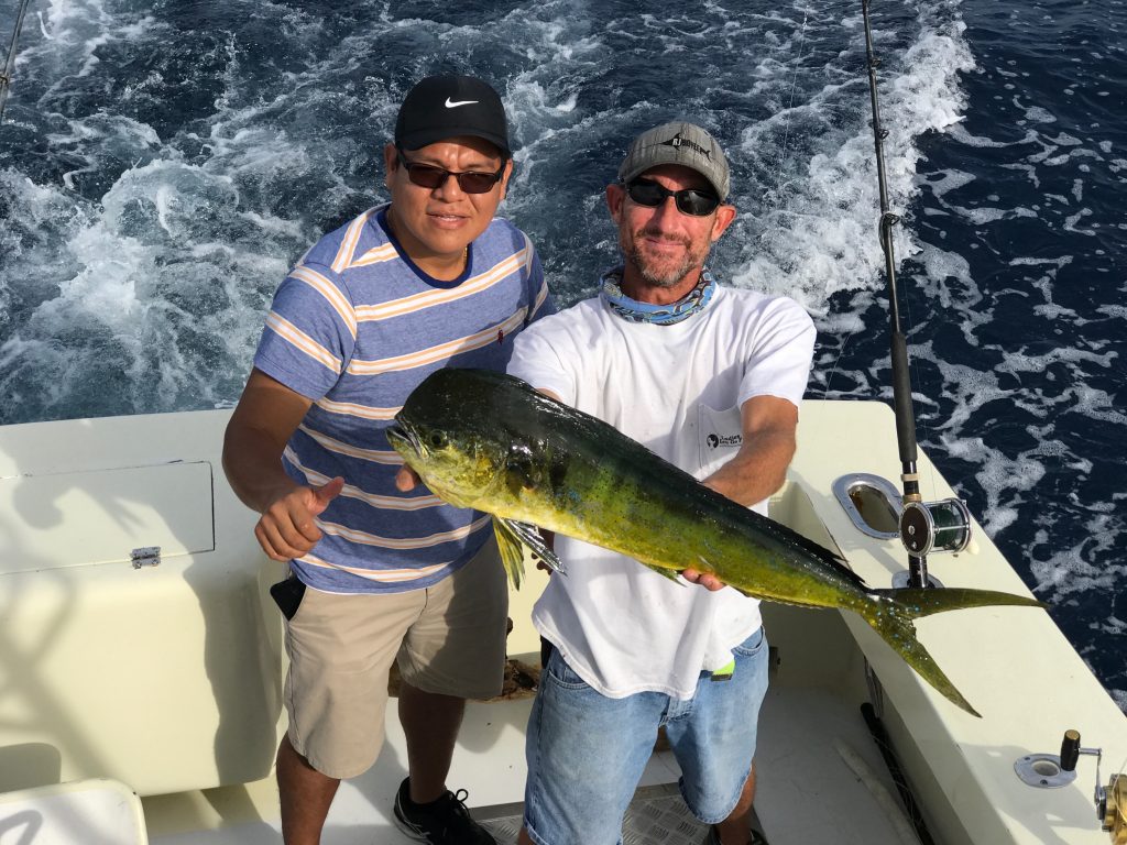 mahi mahi fish