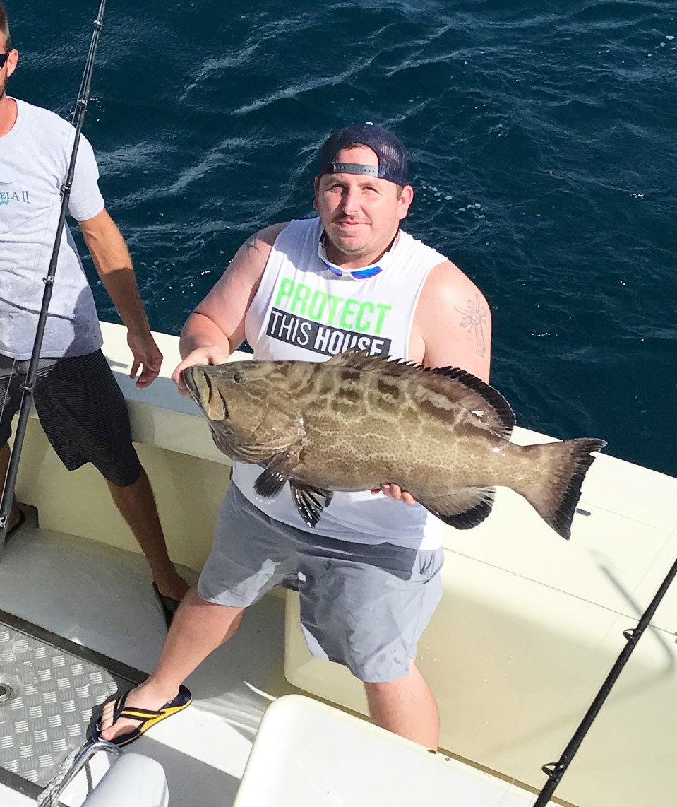 Black Grouper