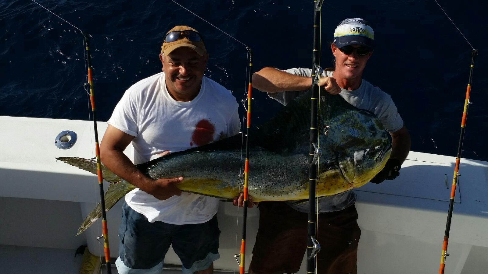 Mahi Mahi fish