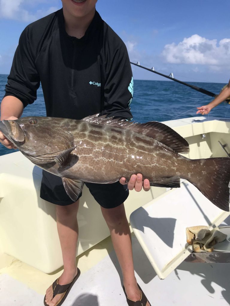 BLACK GROUPER