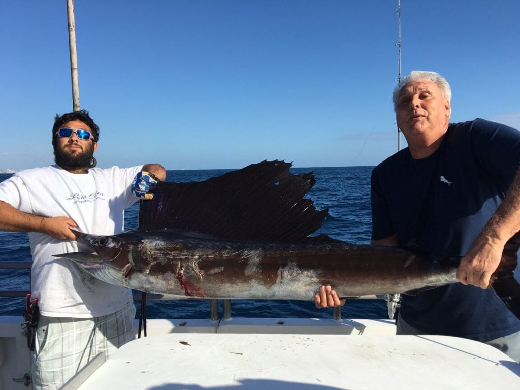 SAILFISH ON THE DRIFT