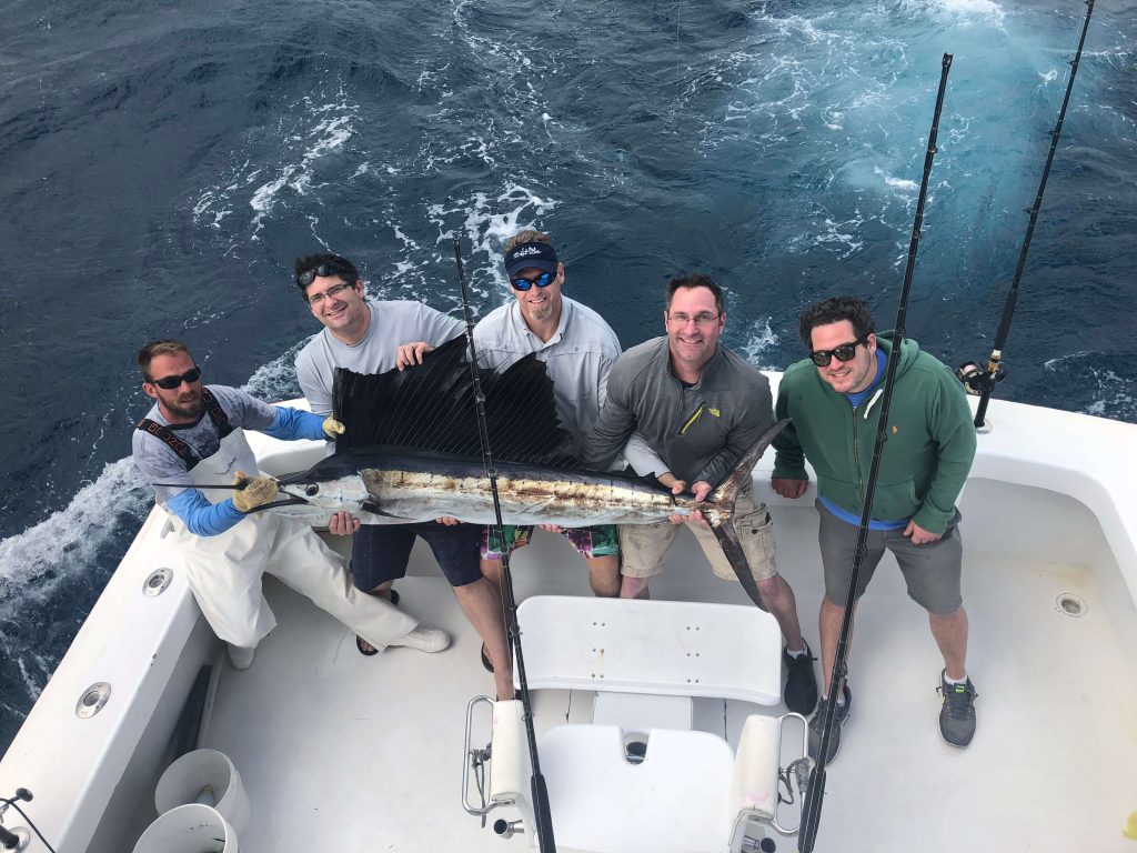 Sailfish fishing