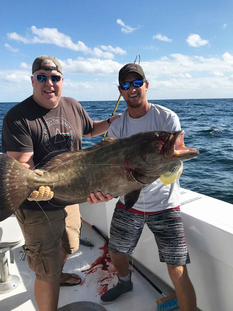 big grouper