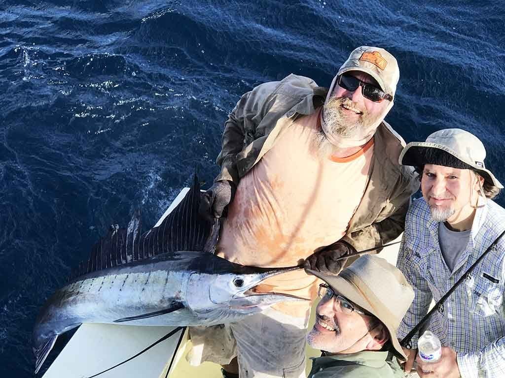 sailfish group fishing