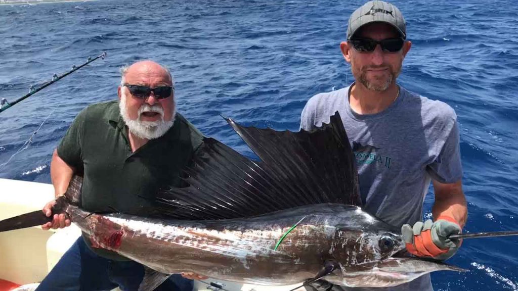 sailfish tagged