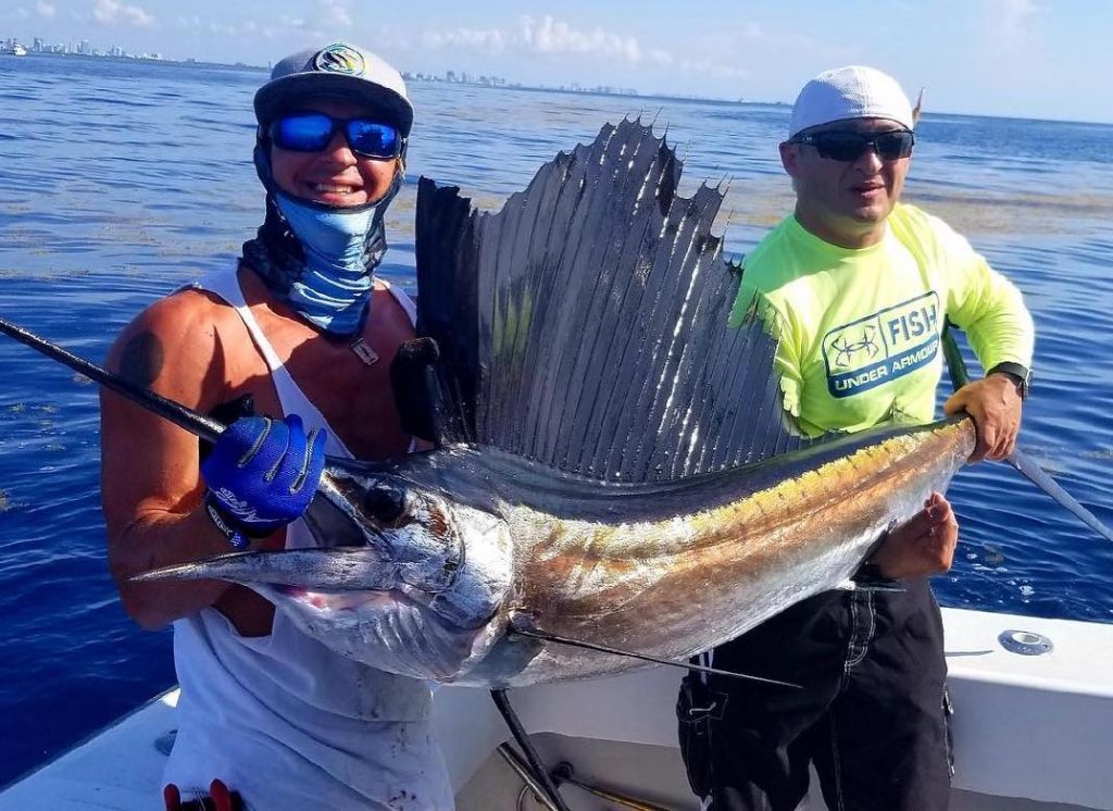 sailfish fishing