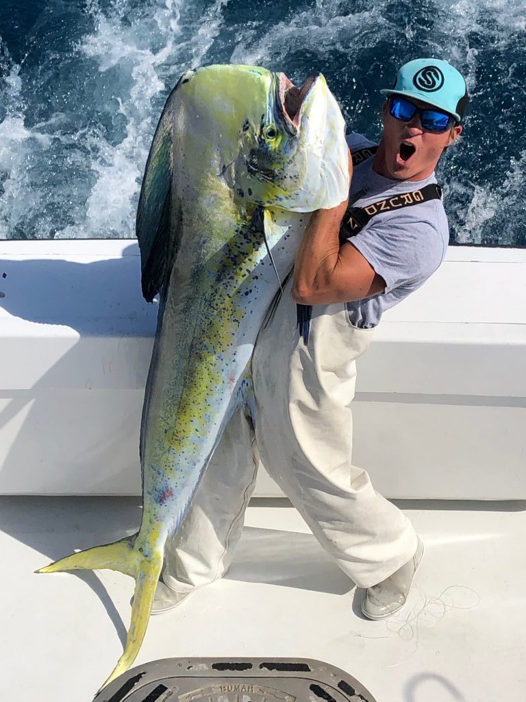 Mahi mahi caught