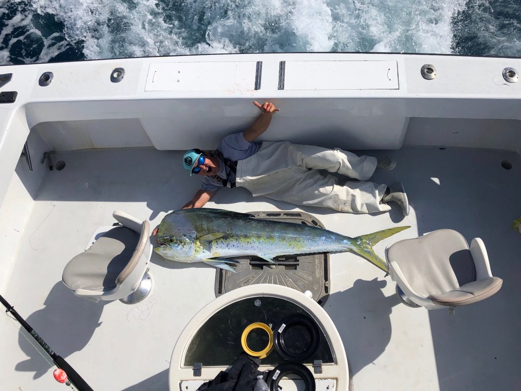 Mahi mahi caught