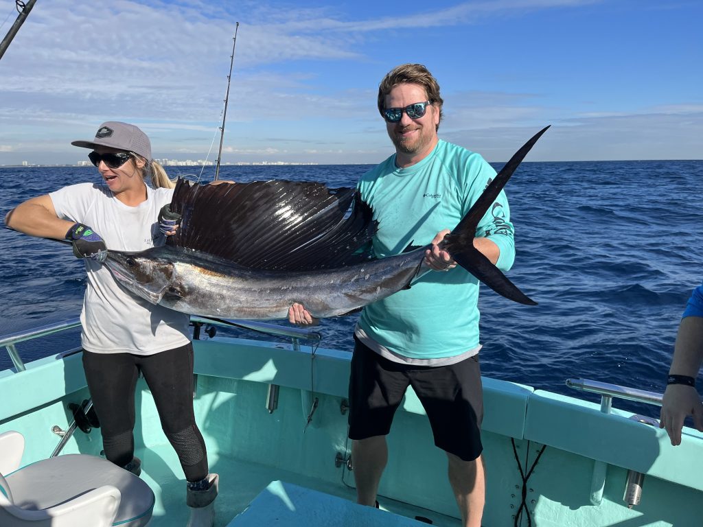 sailfish